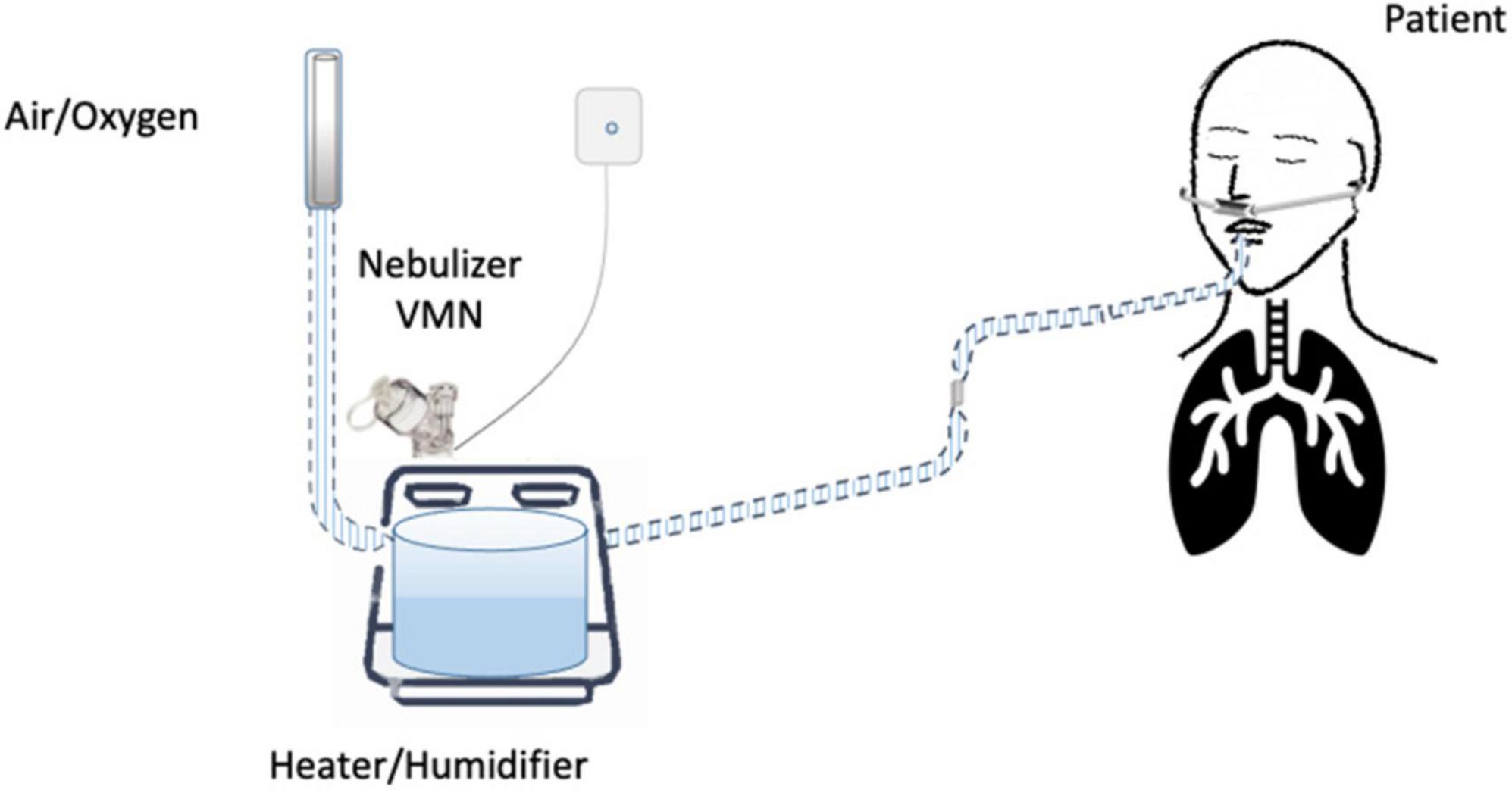 Aerosol delivery through high-flow nasal therapy: Technical issues and clinical benefits